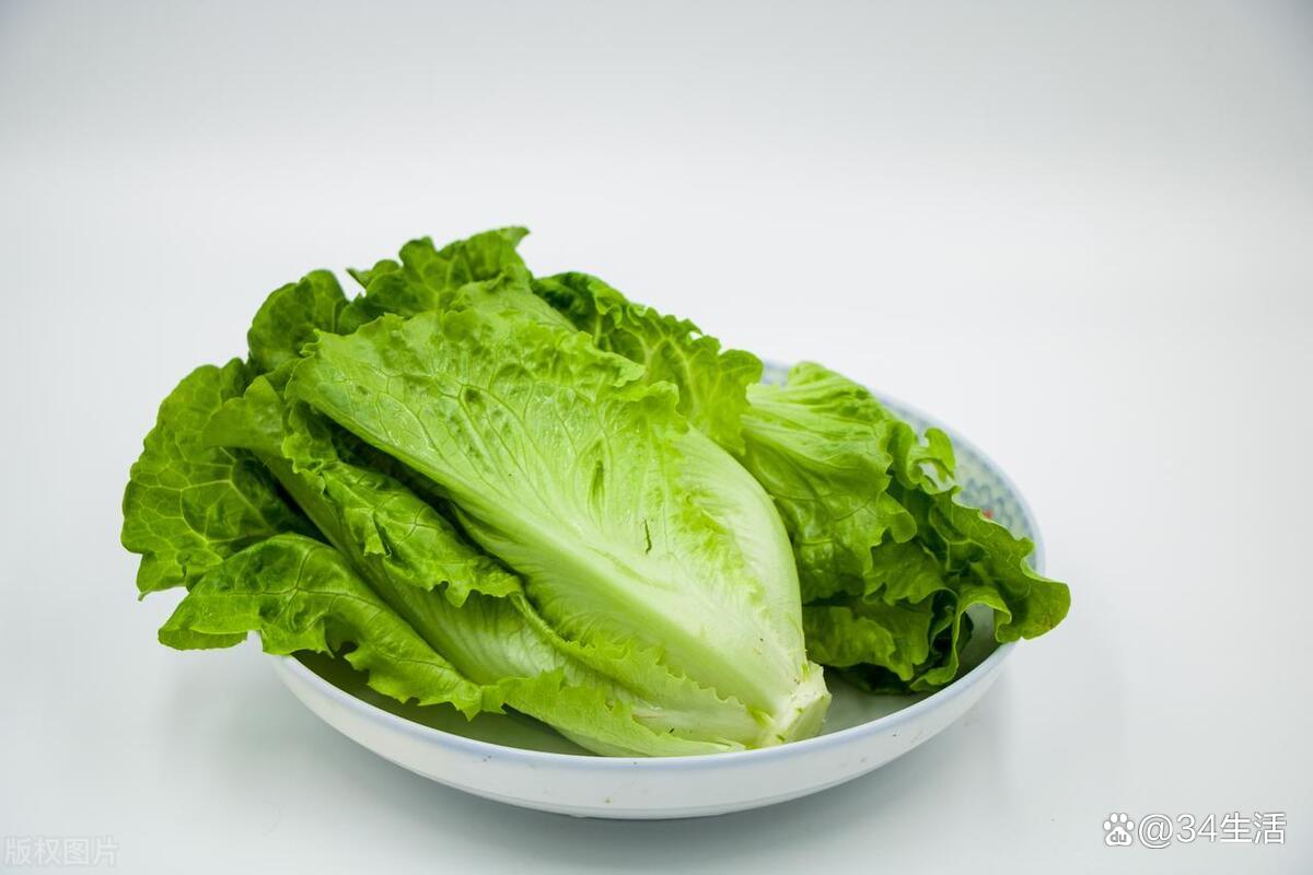 蔬菜的种类(怎么区分蔬菜的种类)