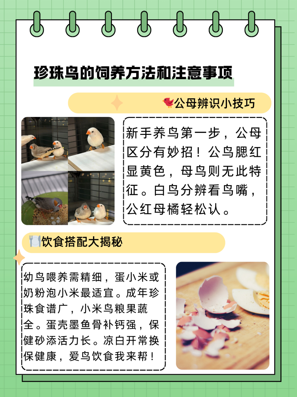 淡水珍珠的养殖(淡水珍珠的养殖条件)