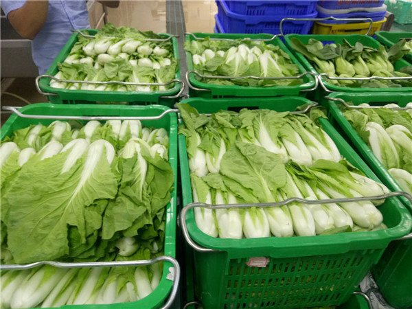 新鲜蔬菜加工(新鲜蔬菜加工原则是什么)