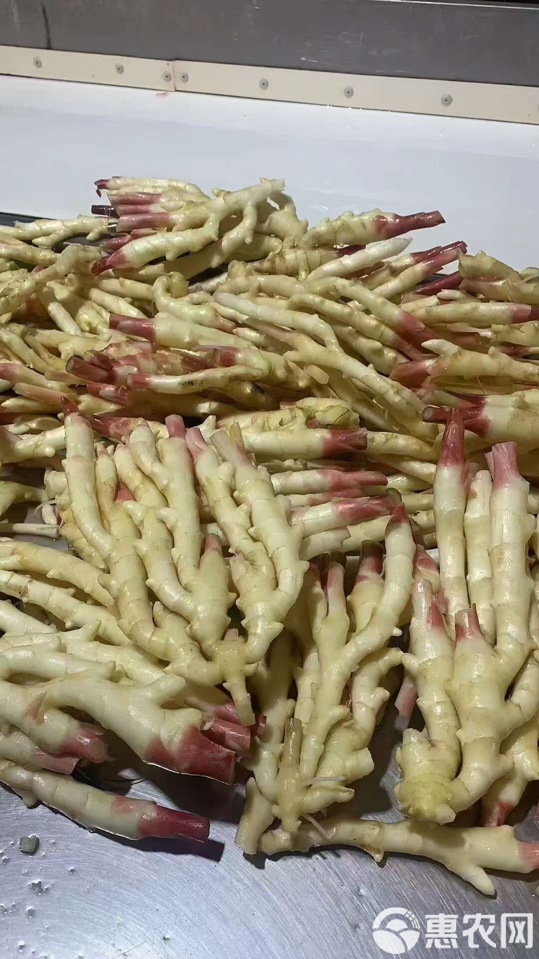 新鲜蔬菜加工(新鲜蔬菜加工原则是什么)
