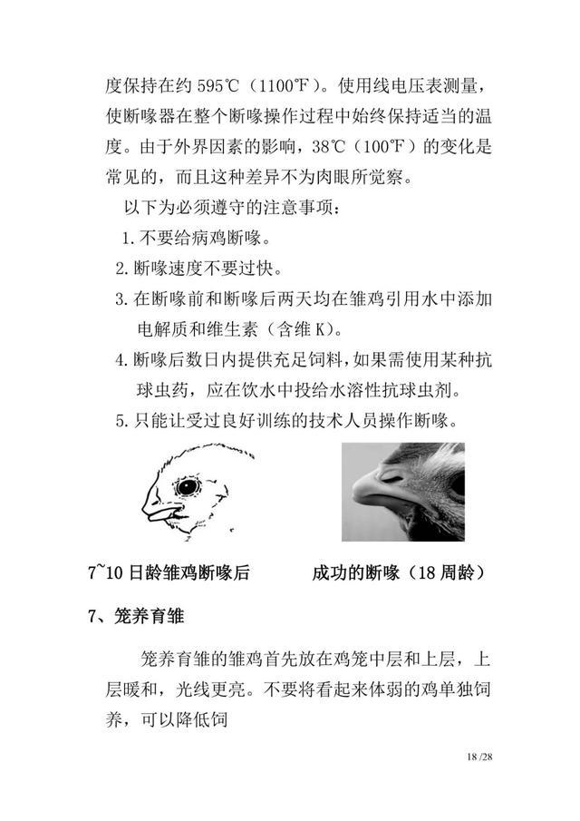 包含肉鸡饲养,蛋鸡小鸡雏怎么养,,1.24,2,中,地域词的词条