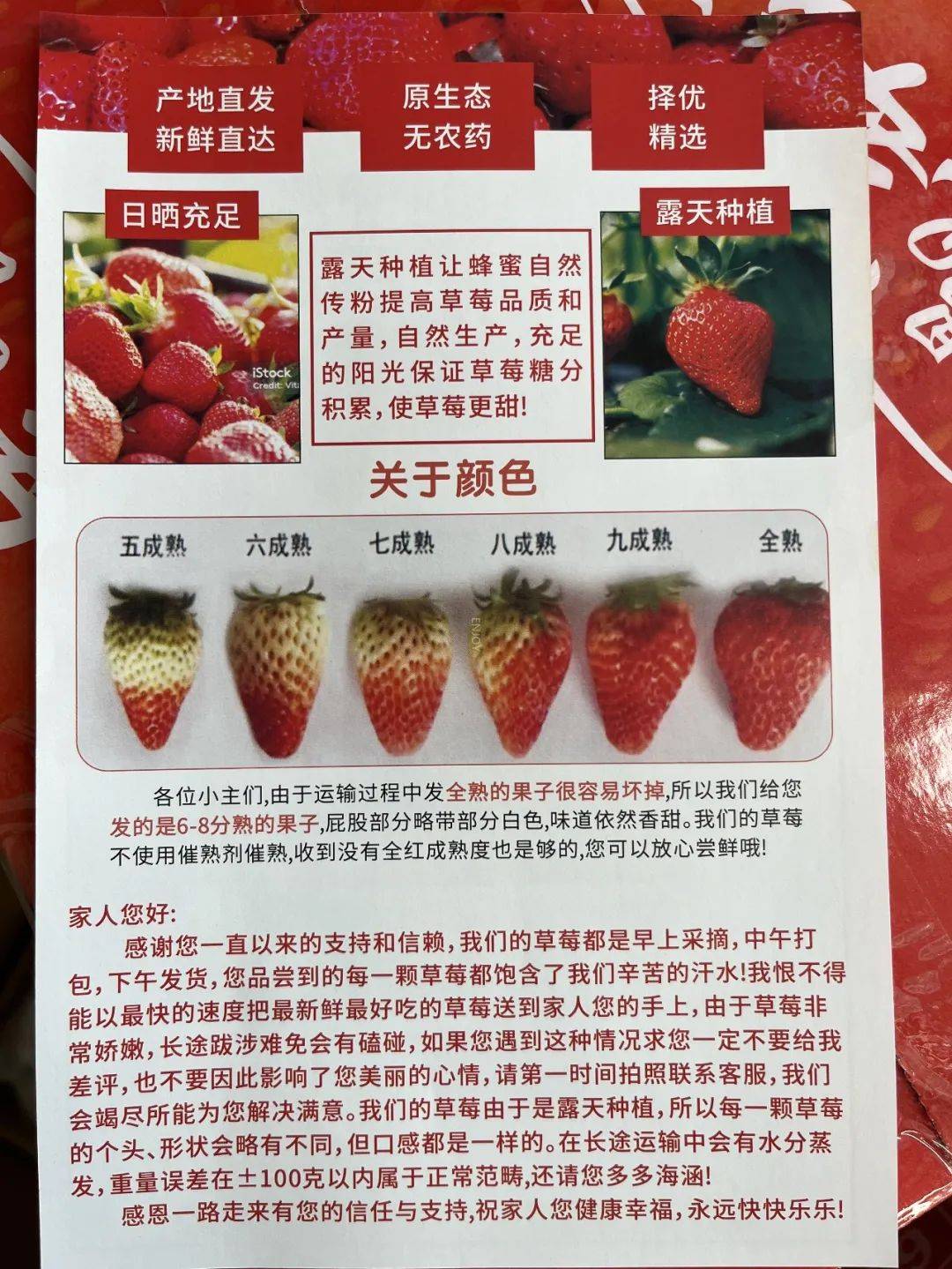 草莓种植时间和温度(草莓的种植温度和季节)