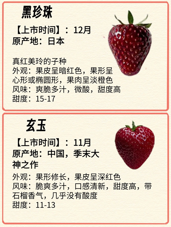 草莓怎么取种(草莓怎么取种育苗)