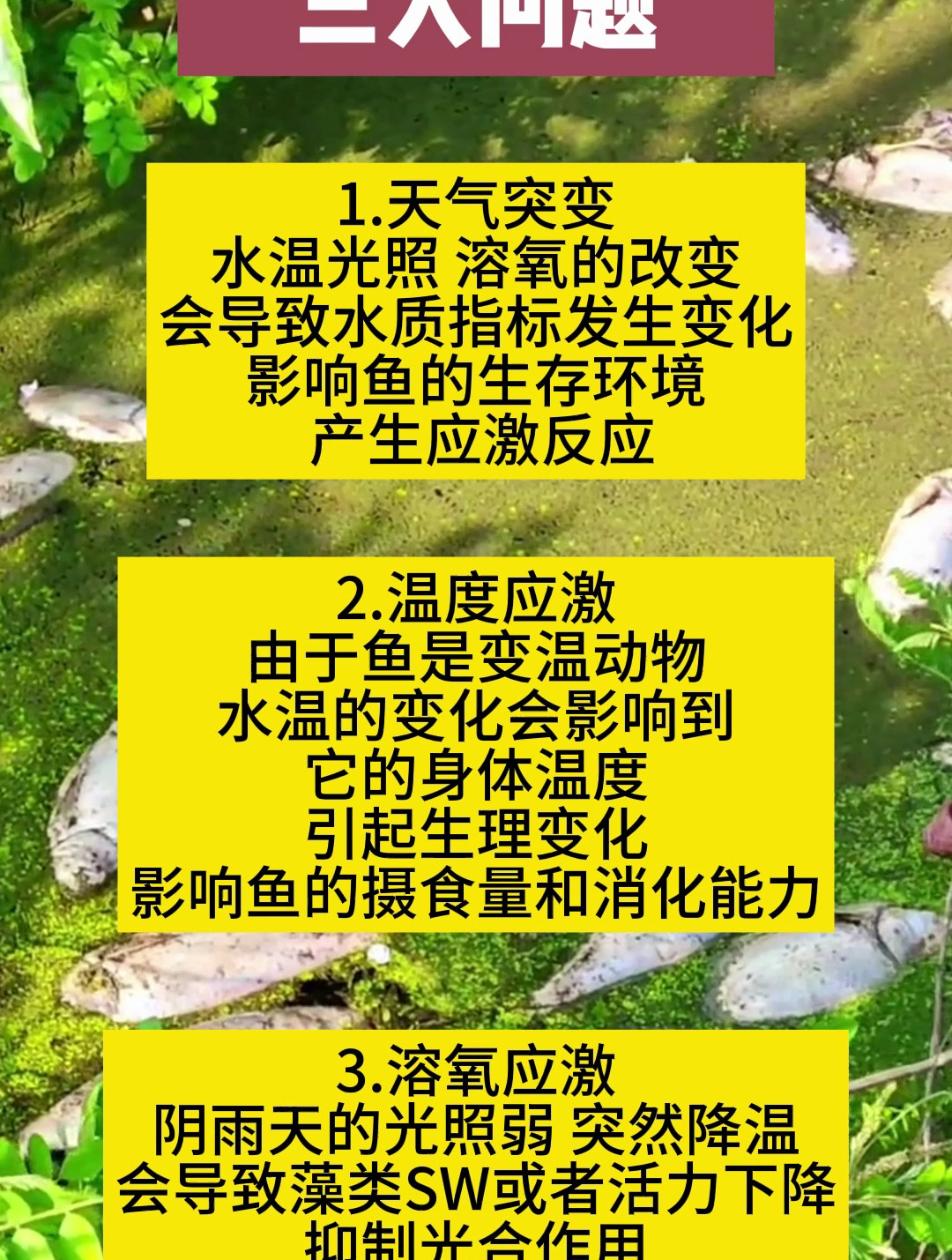 水产养殖常见问题(水产养殖中存在的问题有哪些)
