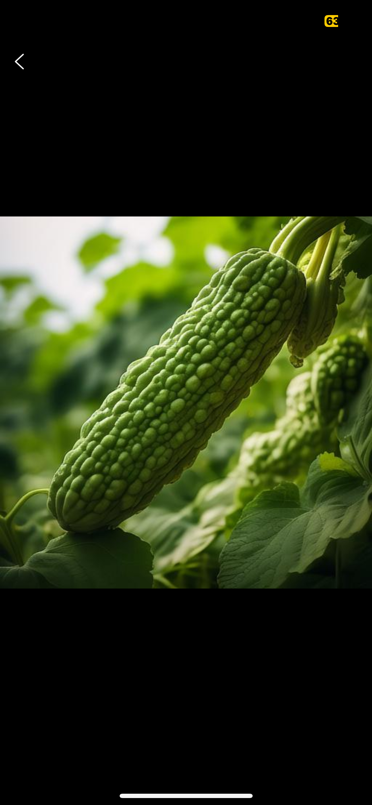 7月份种植的蔬菜(适合7月份种的蔬菜)