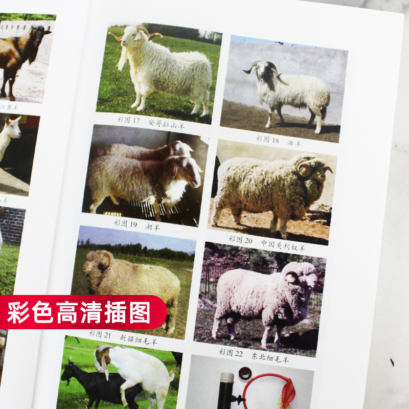 波尔山羊养殖技术书籍(波尔山羊科学饲养技术书)