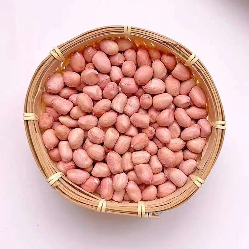 适合榨油的花生品种(适合榨油的花生品种排名)