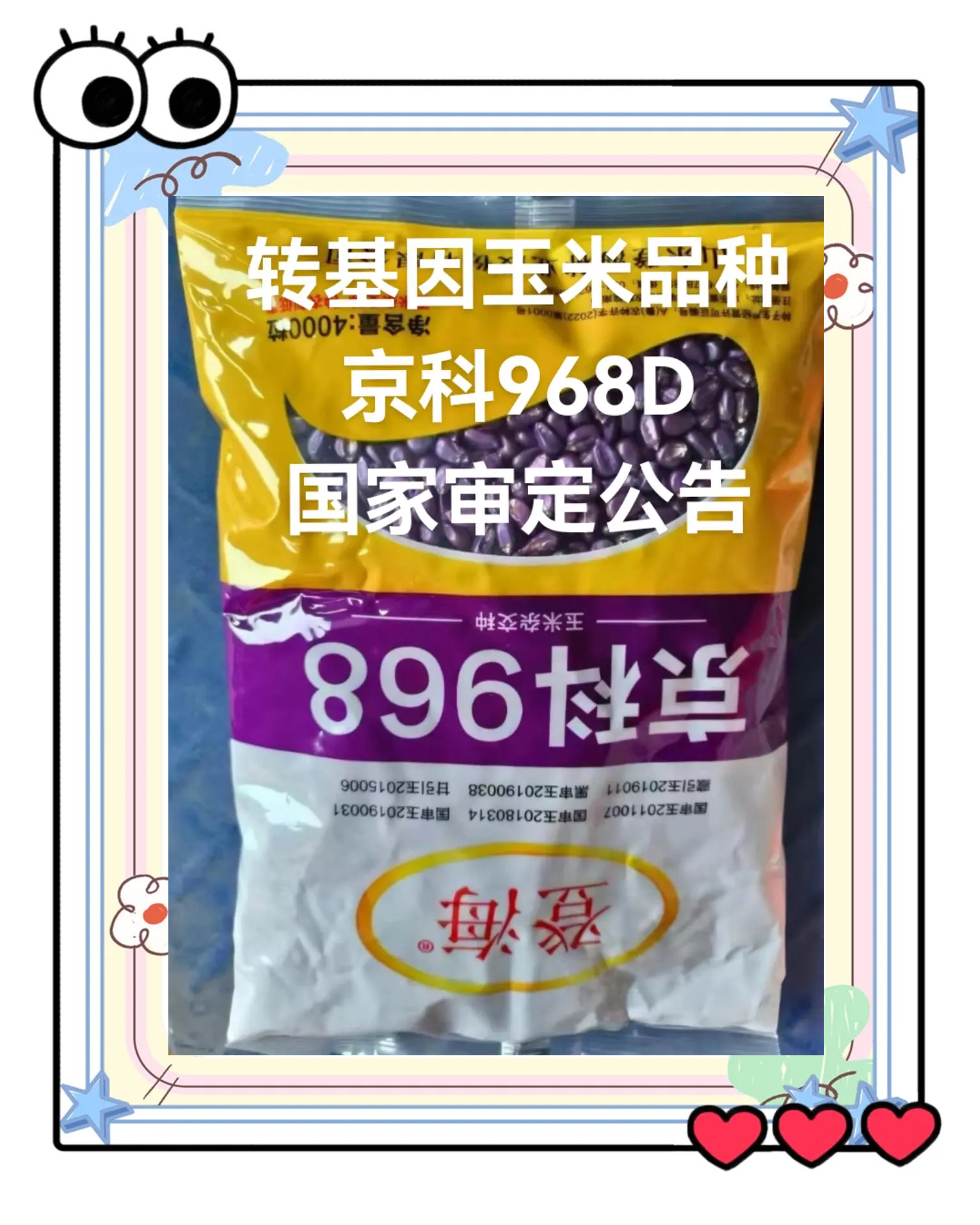 京科玉米品种(京科玉米品种哪个品种好)