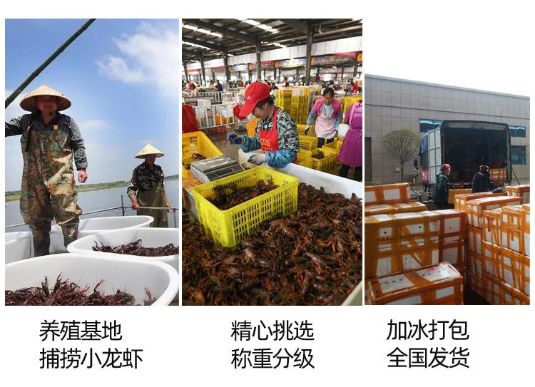 水产类养殖有哪些(2021水产养殖什么最有前景)