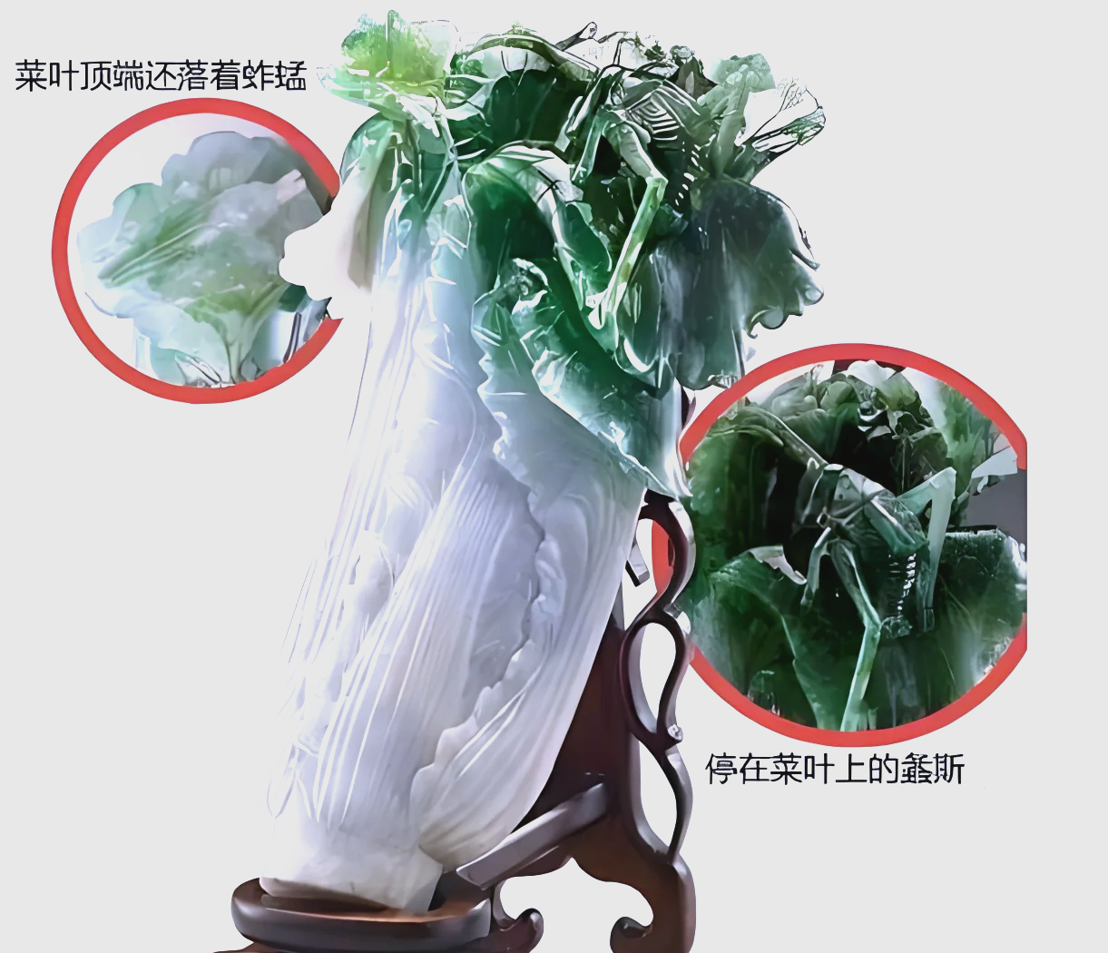 白菜翡翠摆件(翡翠玉白菜摆件)