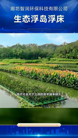 水面种植水稻浮床成本(鱼塘种植水稻浮床哪里买)