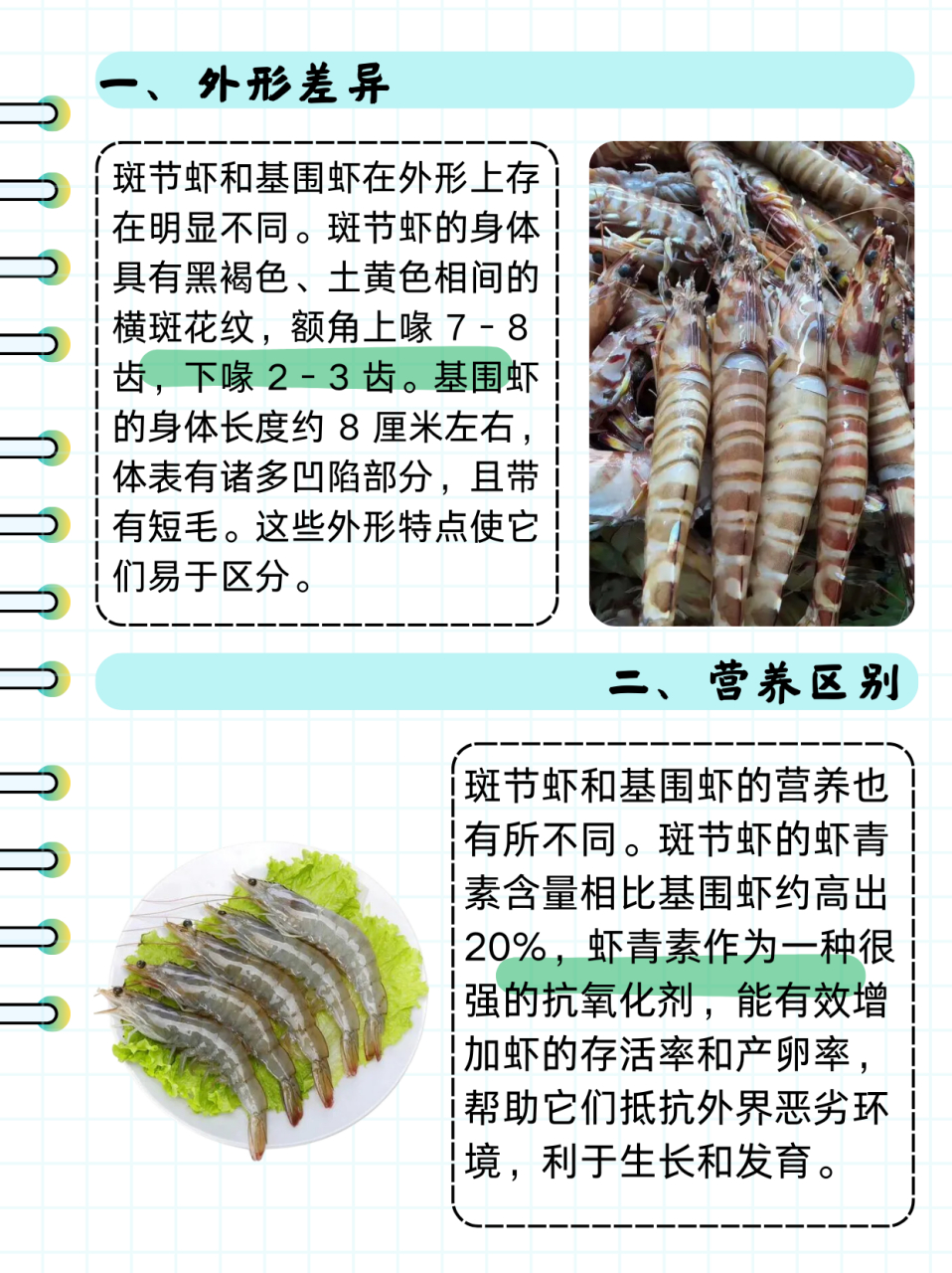 基围虾养殖技术资料(基围虾养殖技术资料大全)