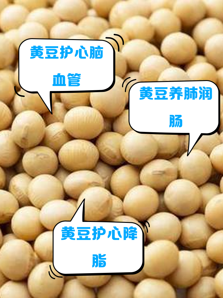 黄豆营养元素(黄豆营养元素高吗)