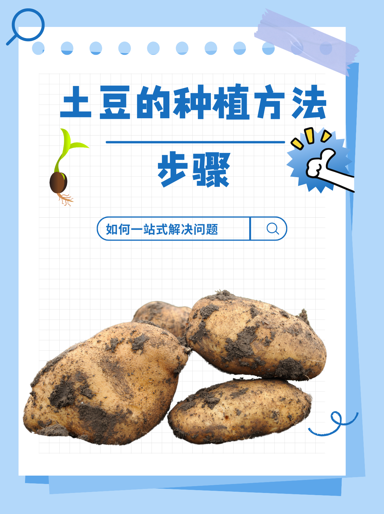 怎么种土豆产量高(怎么种土豆产量高呢)