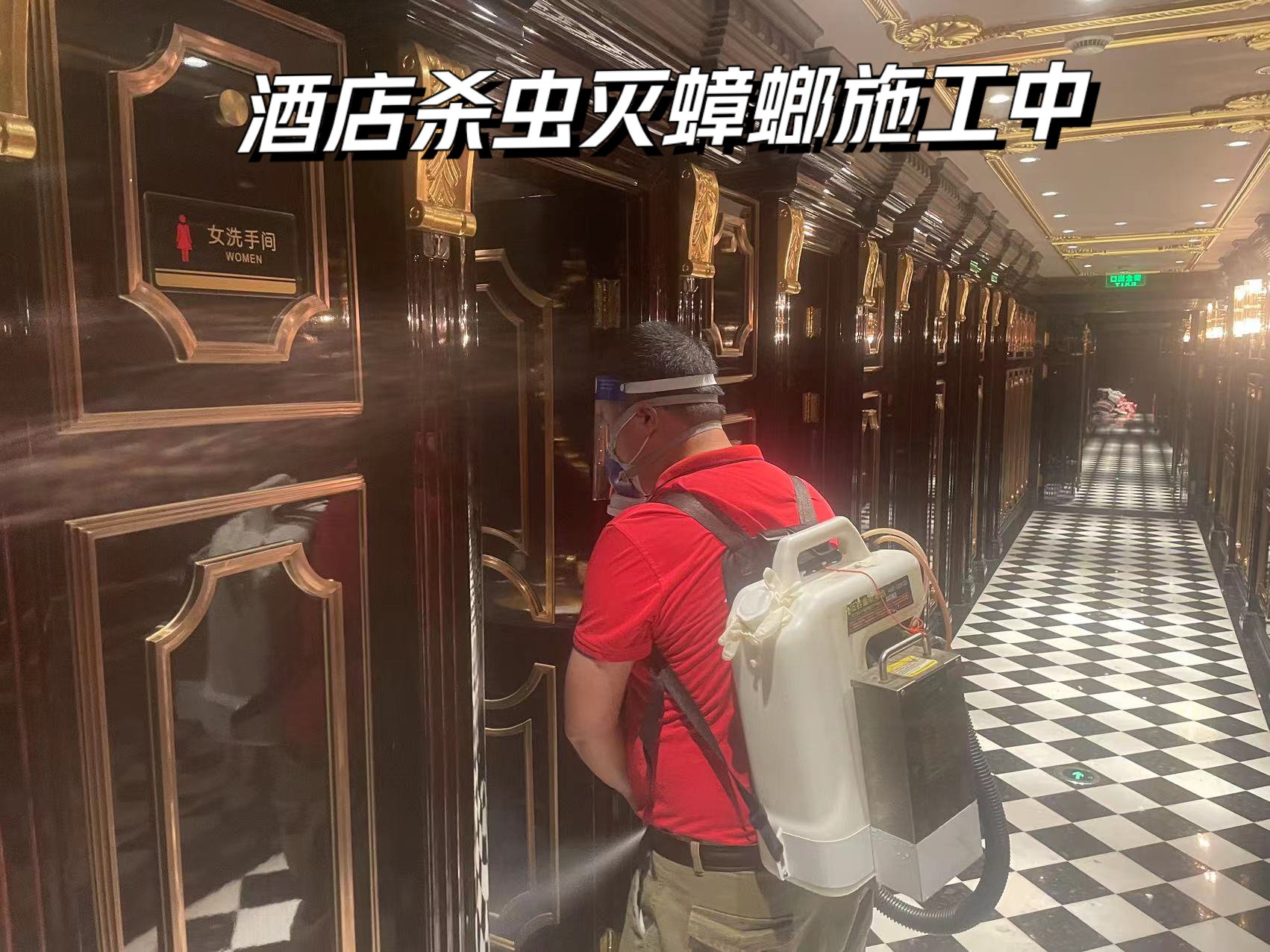 成都杀虫除虫公司(成都最好的灭鼠公司)