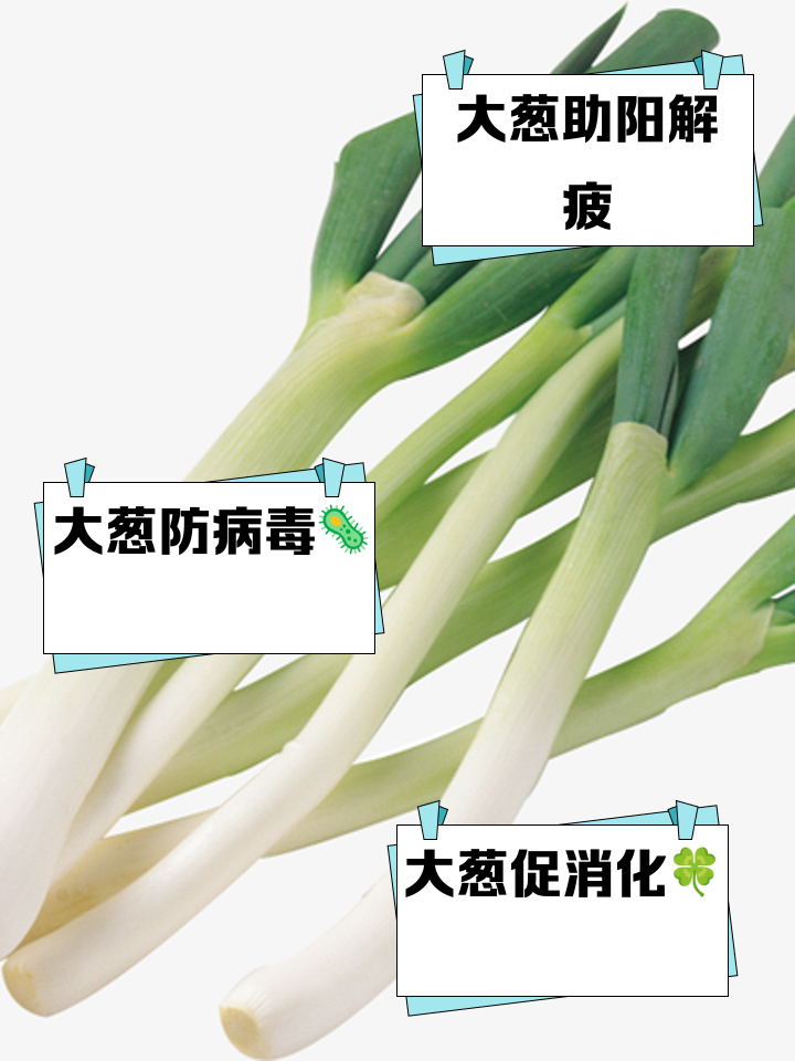 透析可以吃葱吗(透析可以吃葱吗为什么)