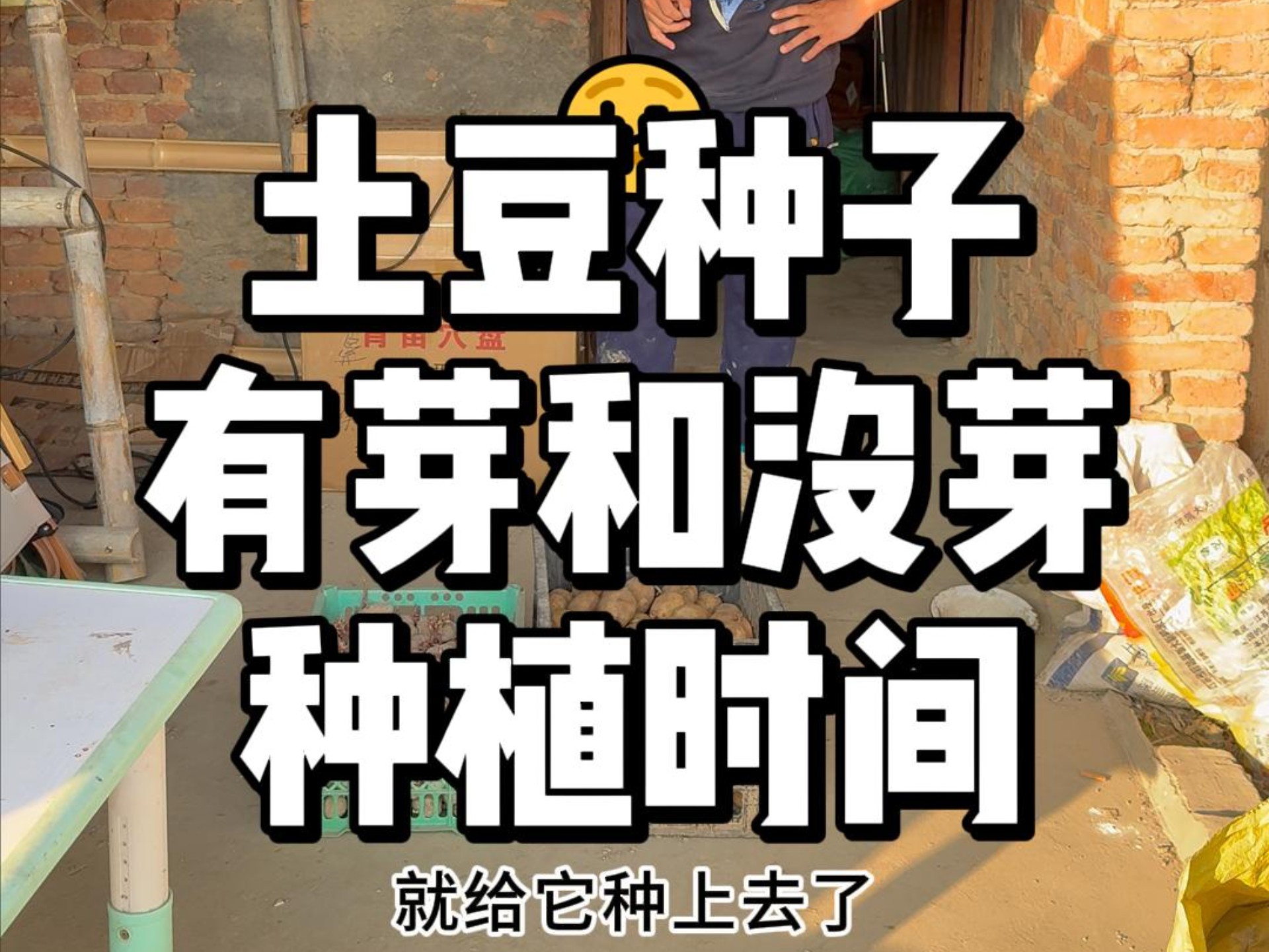 土豆的播种时间(土豆的播种时间和生长周期)
