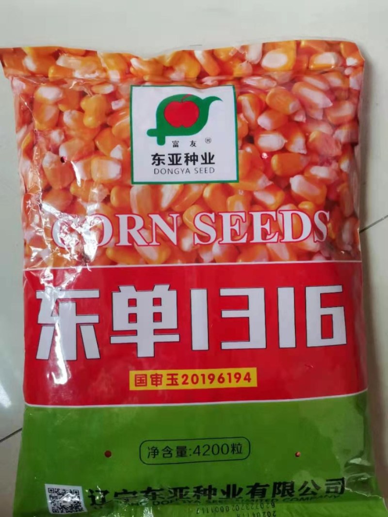 东单玉米种(东单玉米种简介)