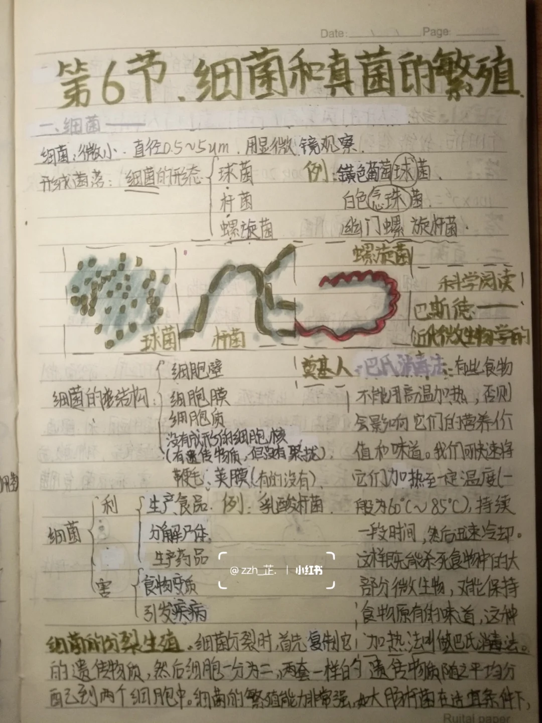 细菌生长繁殖的方法(细菌生长繁殖的方式及规律)