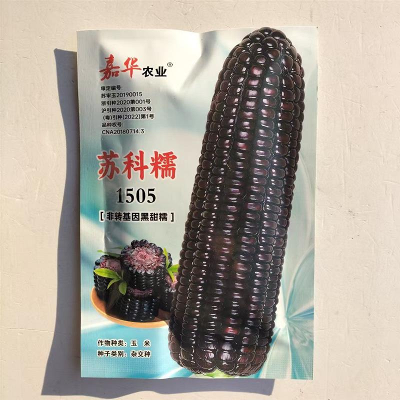 糯玉米转基因(糯玉米转基因最简单三个步骤)