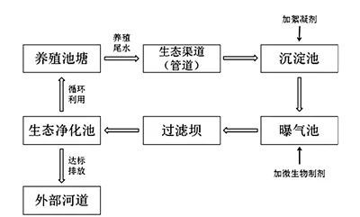 水产养殖的流程(水产养殖技术要点)