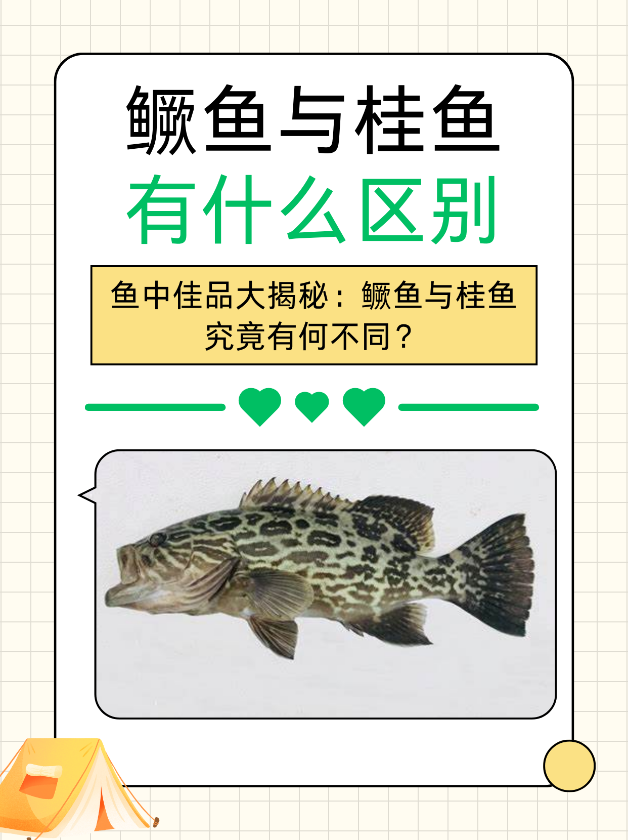 鳜鱼繁殖能力强吗(鳜鱼繁殖期吃东西吗?)