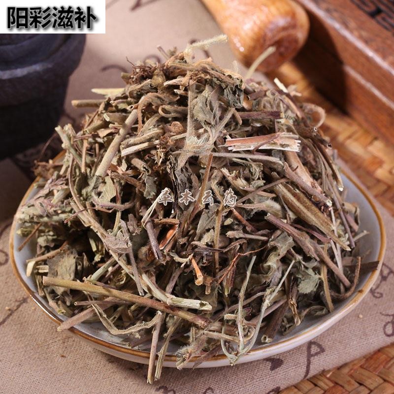 五气朝阳草(五气朝阳草的功效与作用)