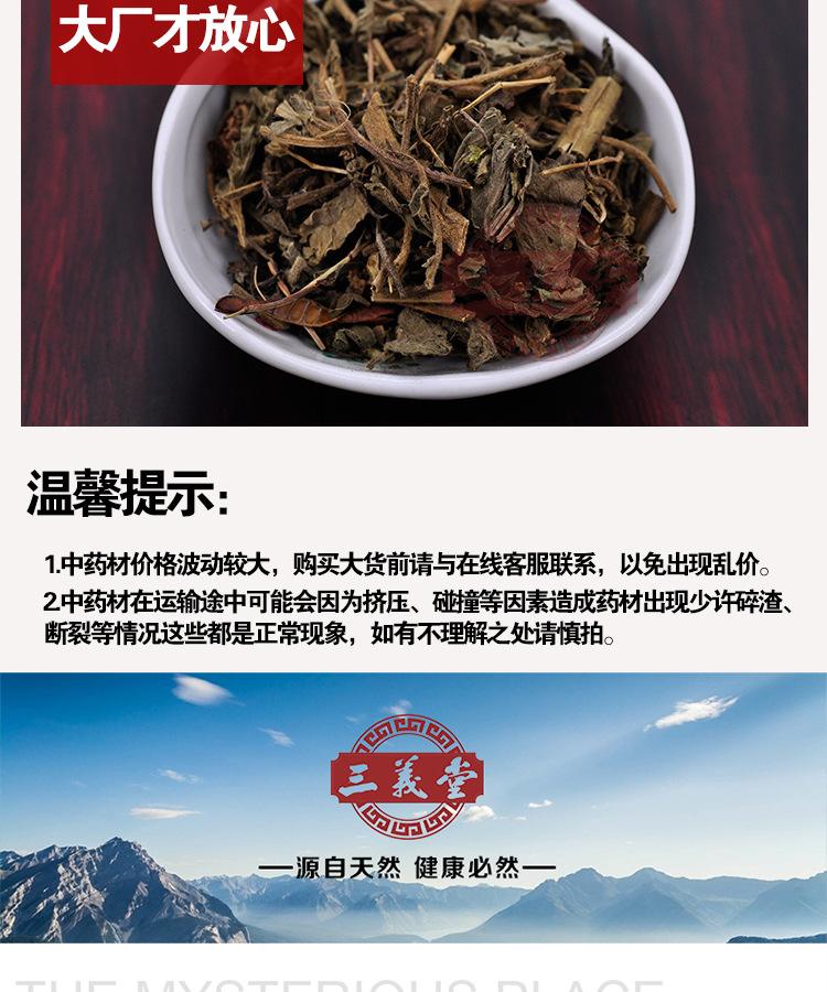 五气朝阳草(五气朝阳草的功效与作用)