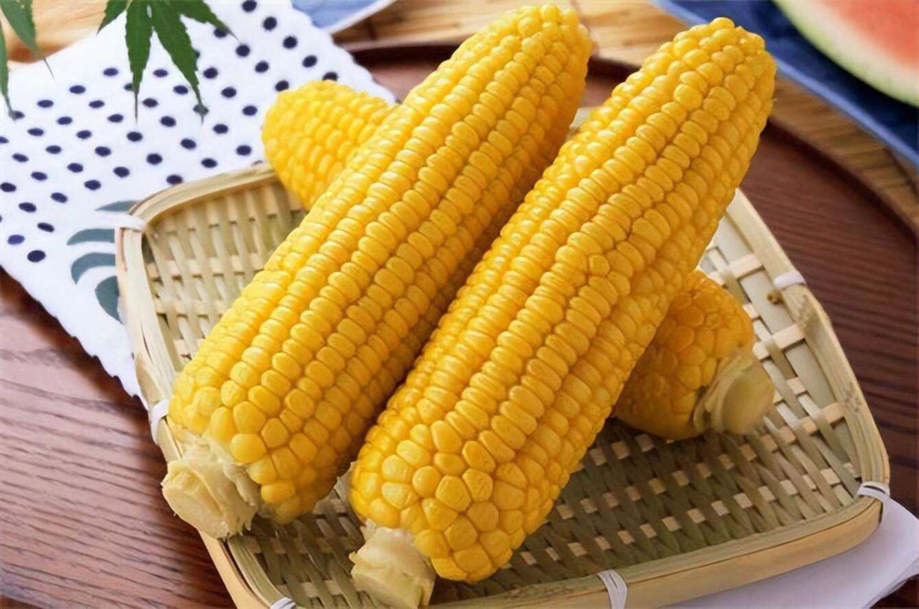 转基因玉米可以喂猪吗(转基因玉米可以喂猪吗视频)