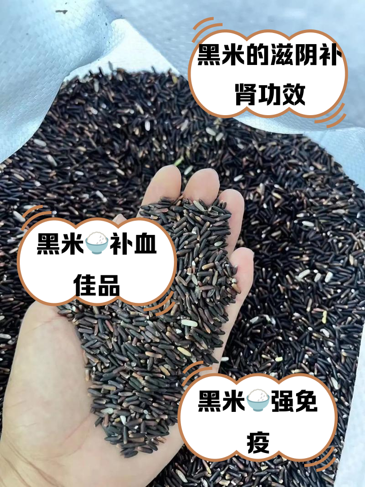 黑米在哪里种植(黑米适合哪里种植)