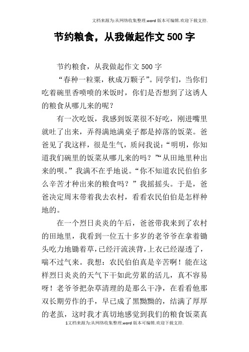 种玉米500字作文(种玉米作文350字左右)