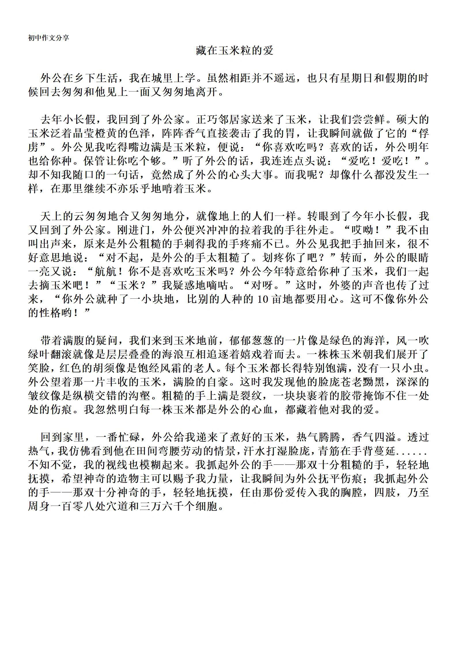 种玉米500字作文(种玉米作文350字左右)