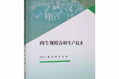肉牛养殖技术全集(肉牛养殖技术教程视频)