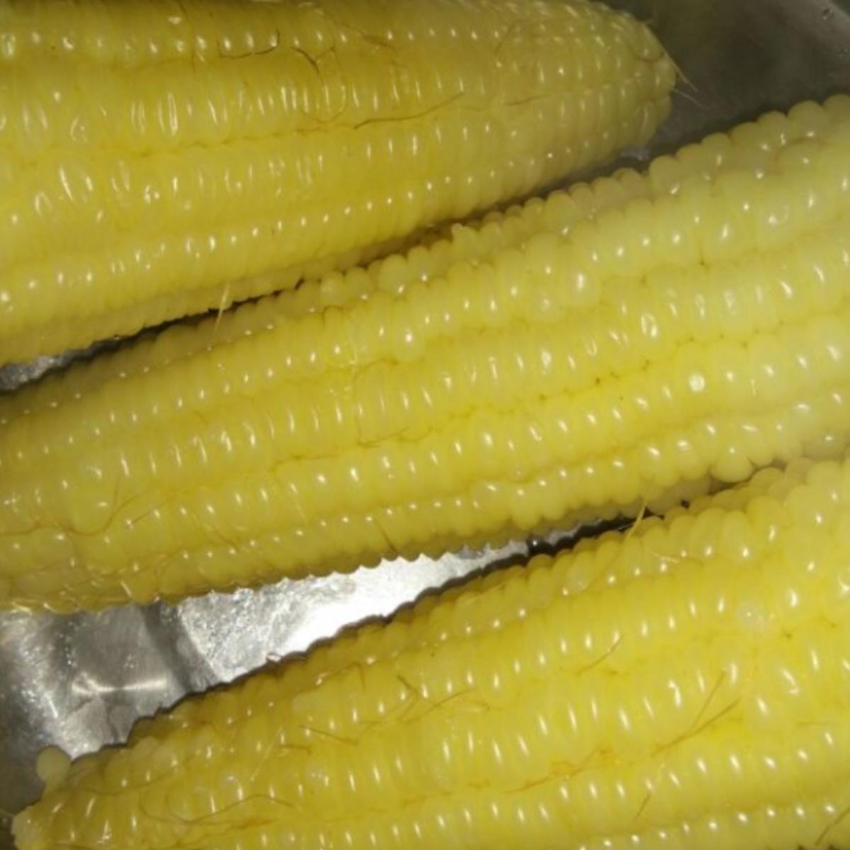 可以吃冷玉米吗(吃冷冻玉米对身体有害吗)