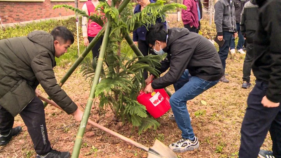 绿化树种植技术(绿化树栽植与养护管理技术)