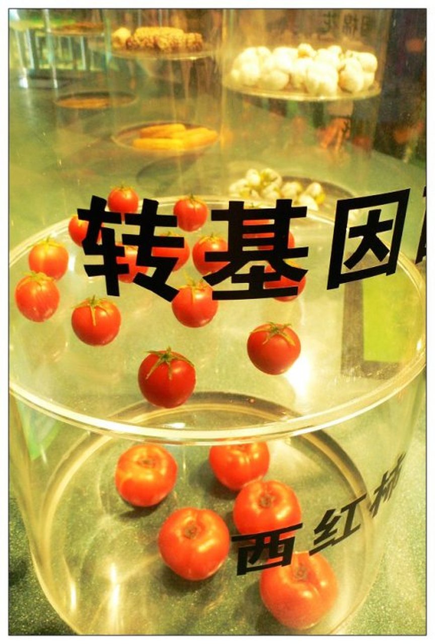 什么叫做转基因(什么叫做转基因技术)
