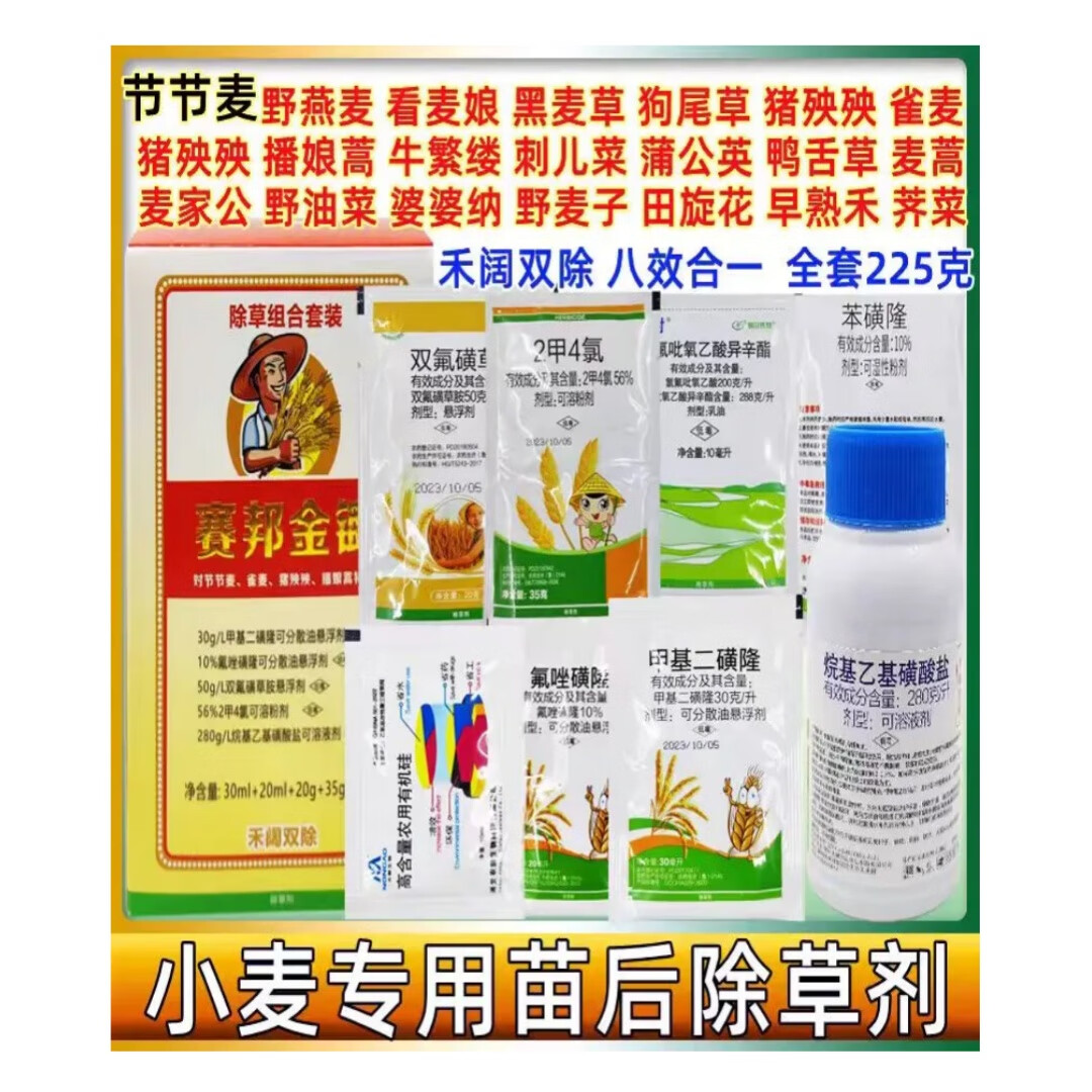 播娘蒿除草(播娘蒿药材名)
