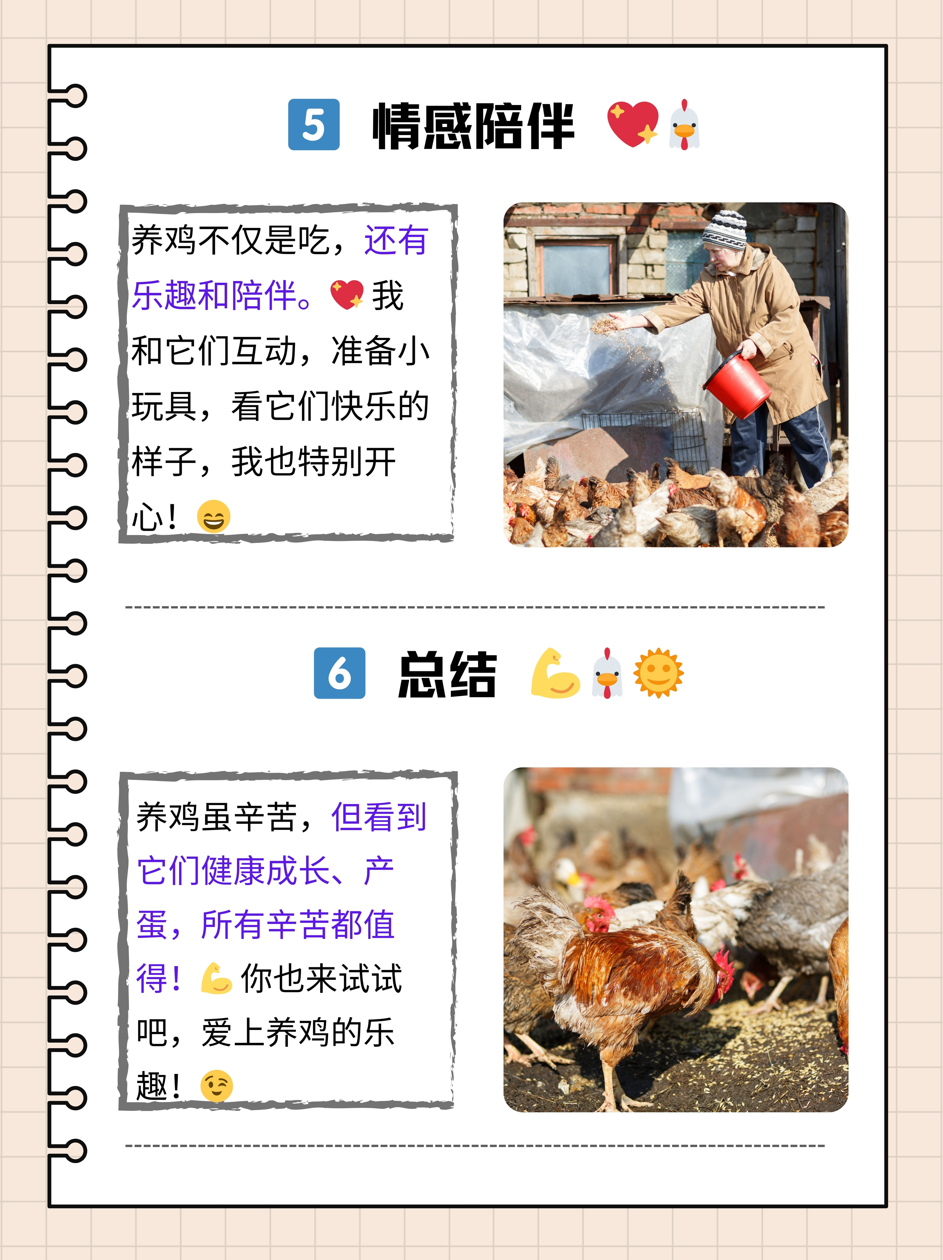 肉鸡饲养,土鸡养殖方法,,1.08,2,高,方法词的简单介绍