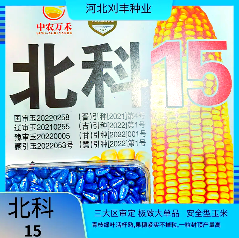 玉米种子高产品种大全(2020玉米种子十大品种)