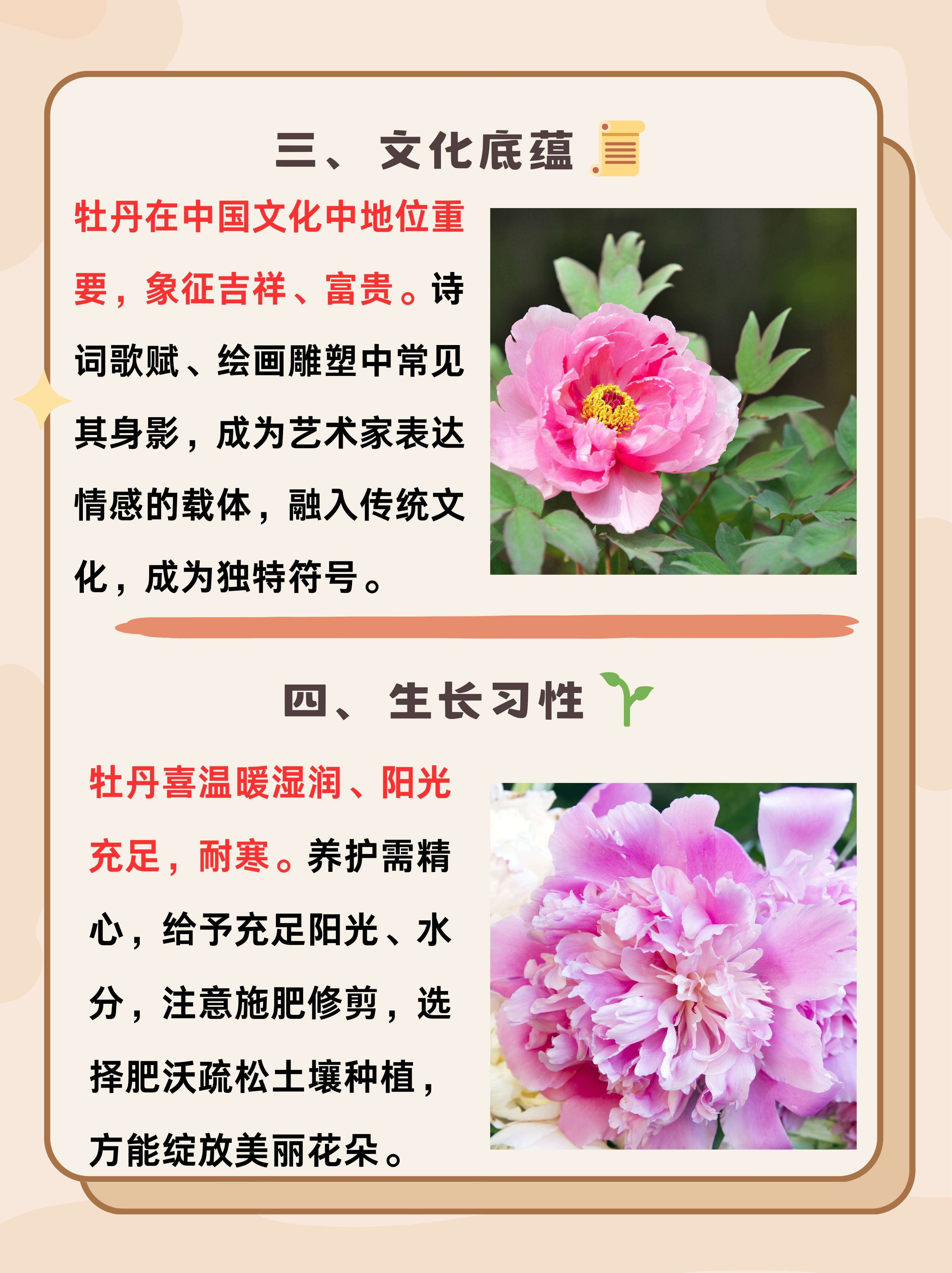 牡丹繁殖方法(牡丹繁殖方法和技巧)