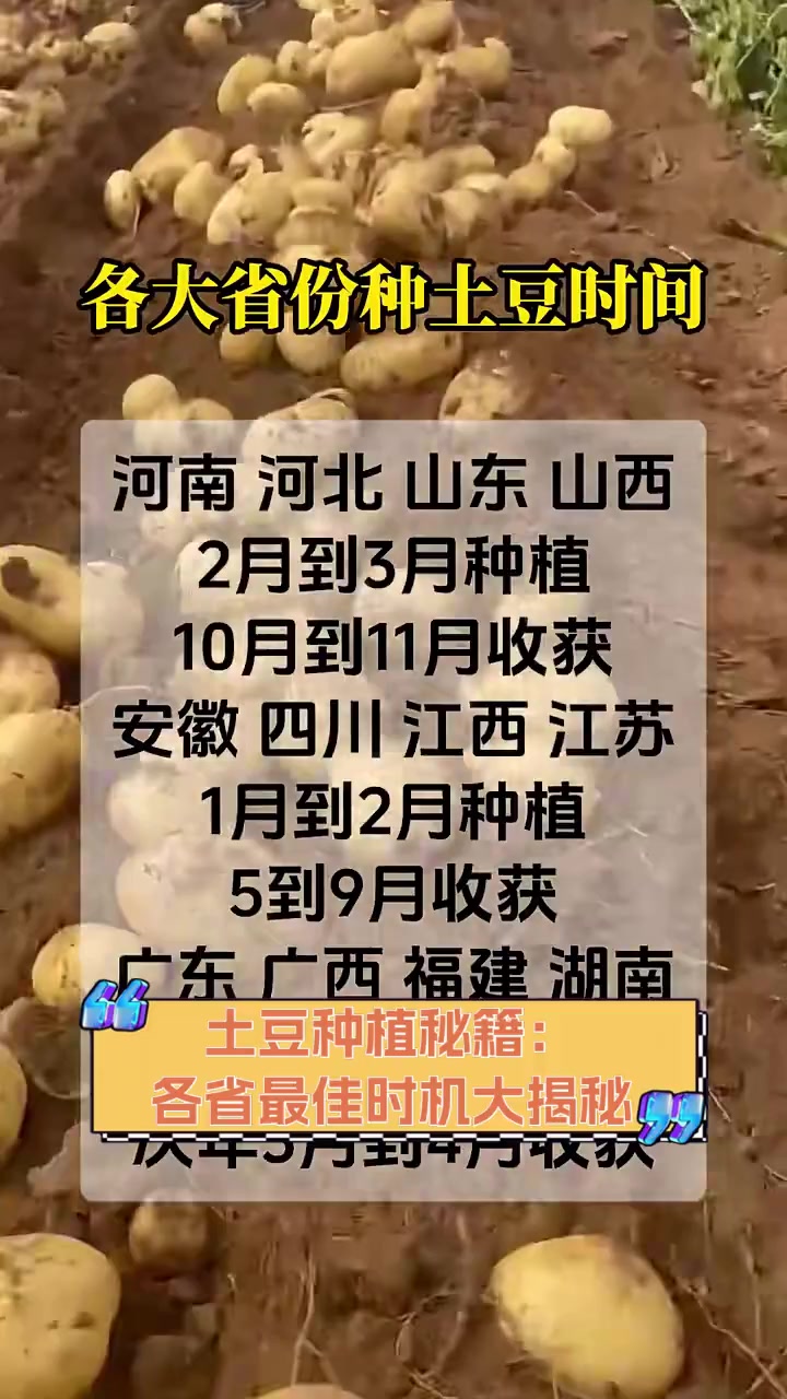 马铃薯几月份种植(马铃薯什么时候种植最好)