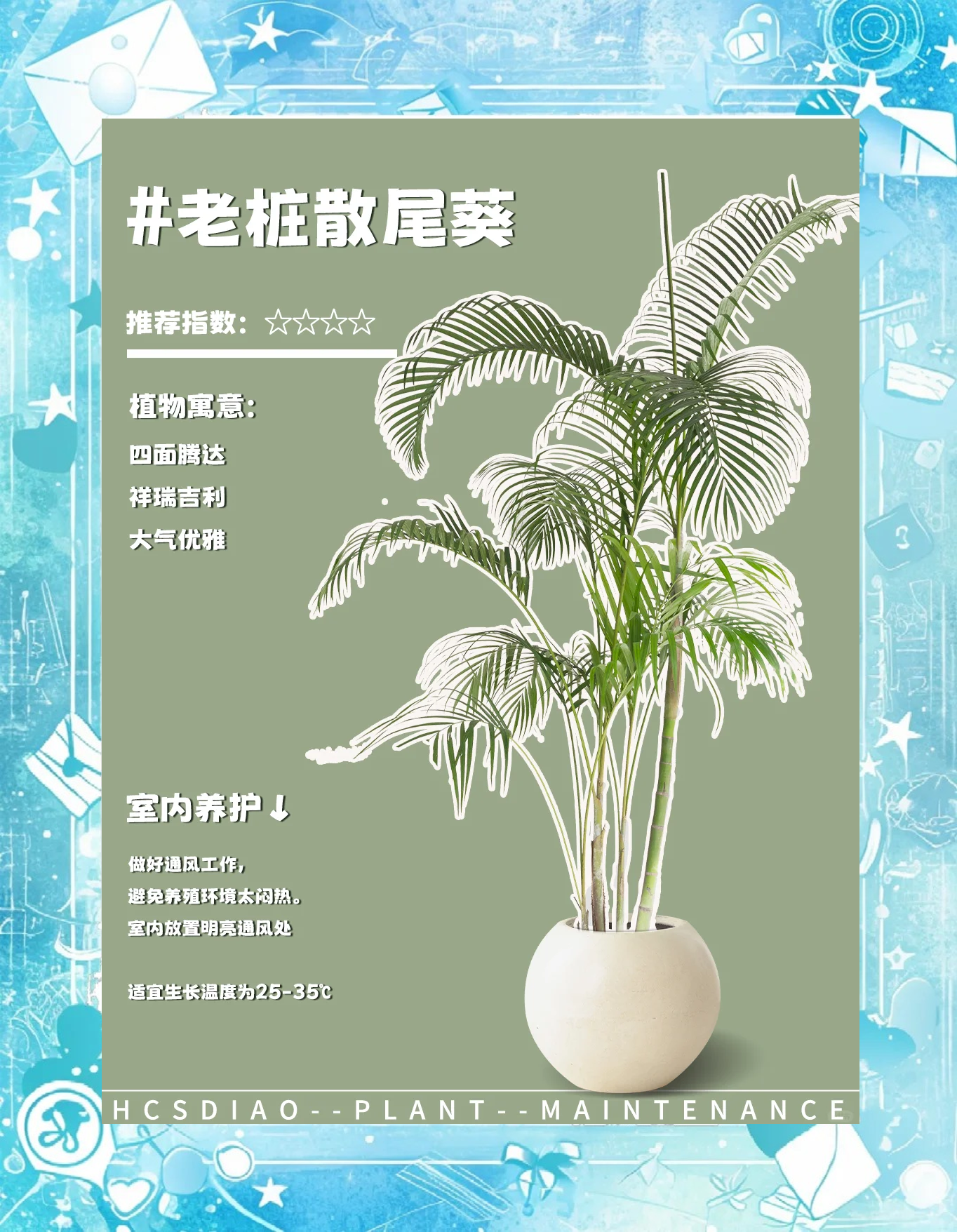 散尾葵的病害及防治方法(散尾葵怎么养法,老是枯叶)