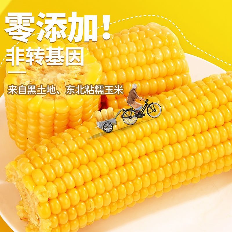 黏苞米是转基因的吗(粘玉米是转基因的吗长老了怎么吃)