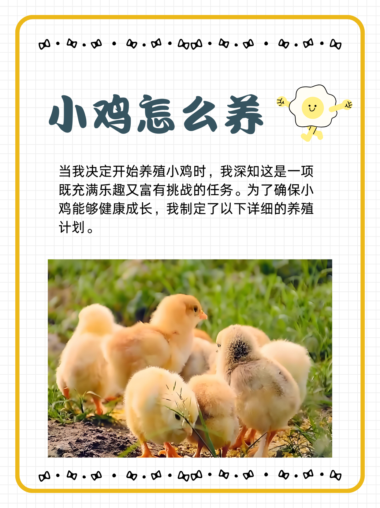 养小鸡喂水吗(养小鸡喂水吗会死吗)