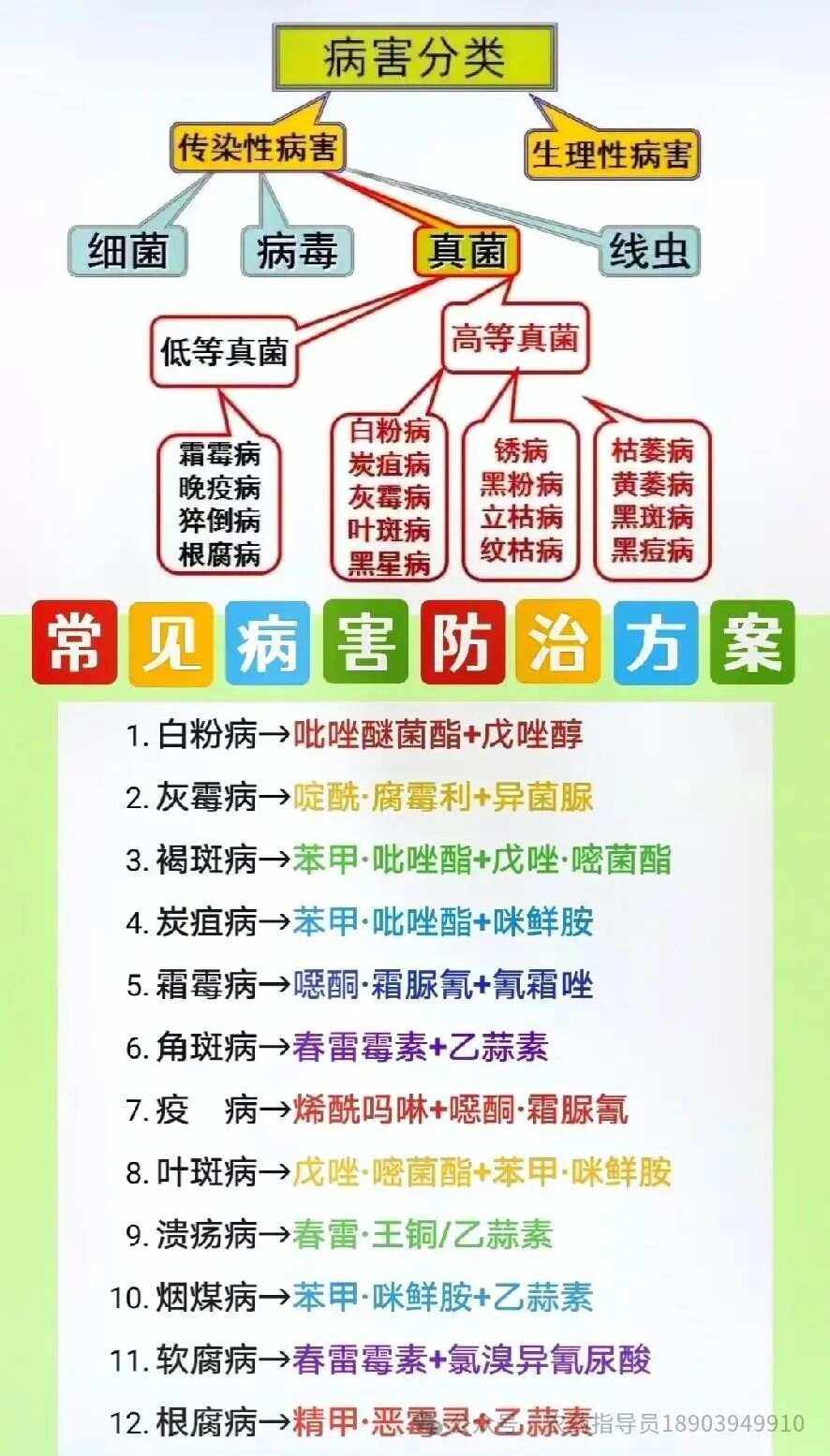 物理防治病虫害方法(物理防治病虫害方法图片)