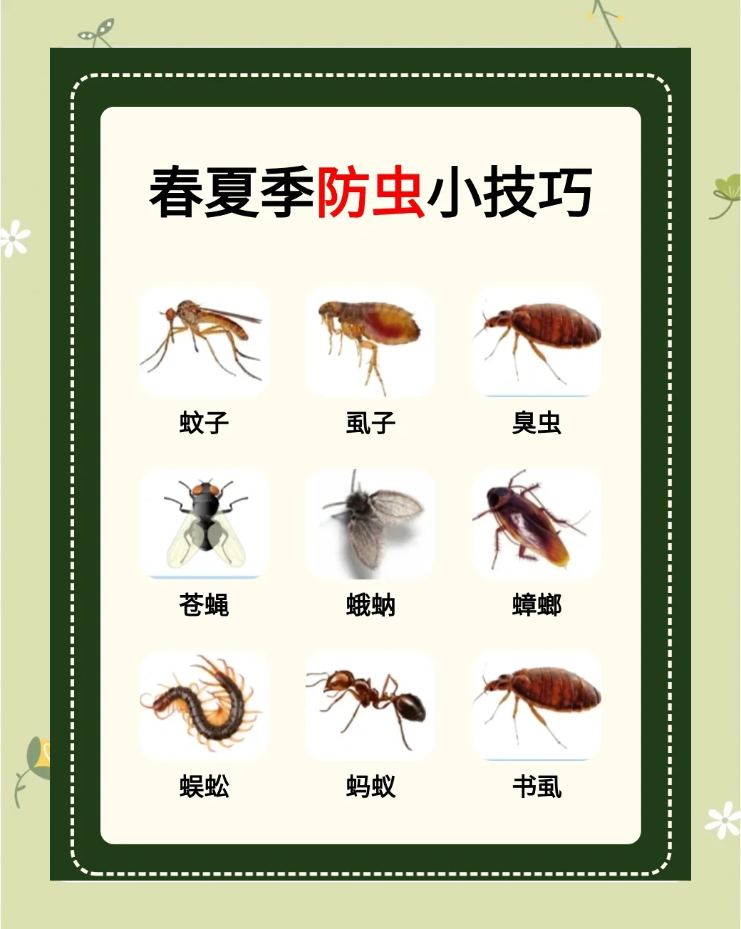 物理防治病虫害方法(物理防治病虫害方法图片)