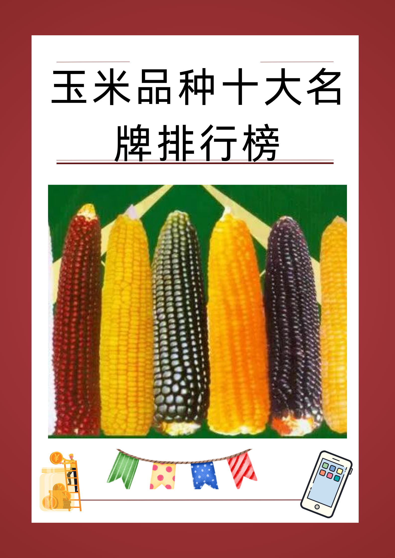 玉米有什么品种(玉米什么品种好吃又甜)