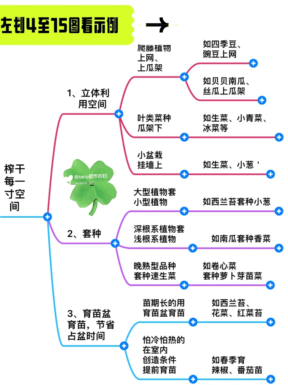 蔬菜的种植技术和管理(蔬菜种植的方法及注意事项)