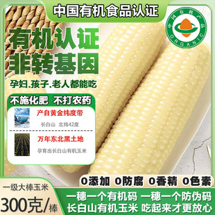 转基因和非转基因玉米(转基因和非转基因玉米的区别在哪里)