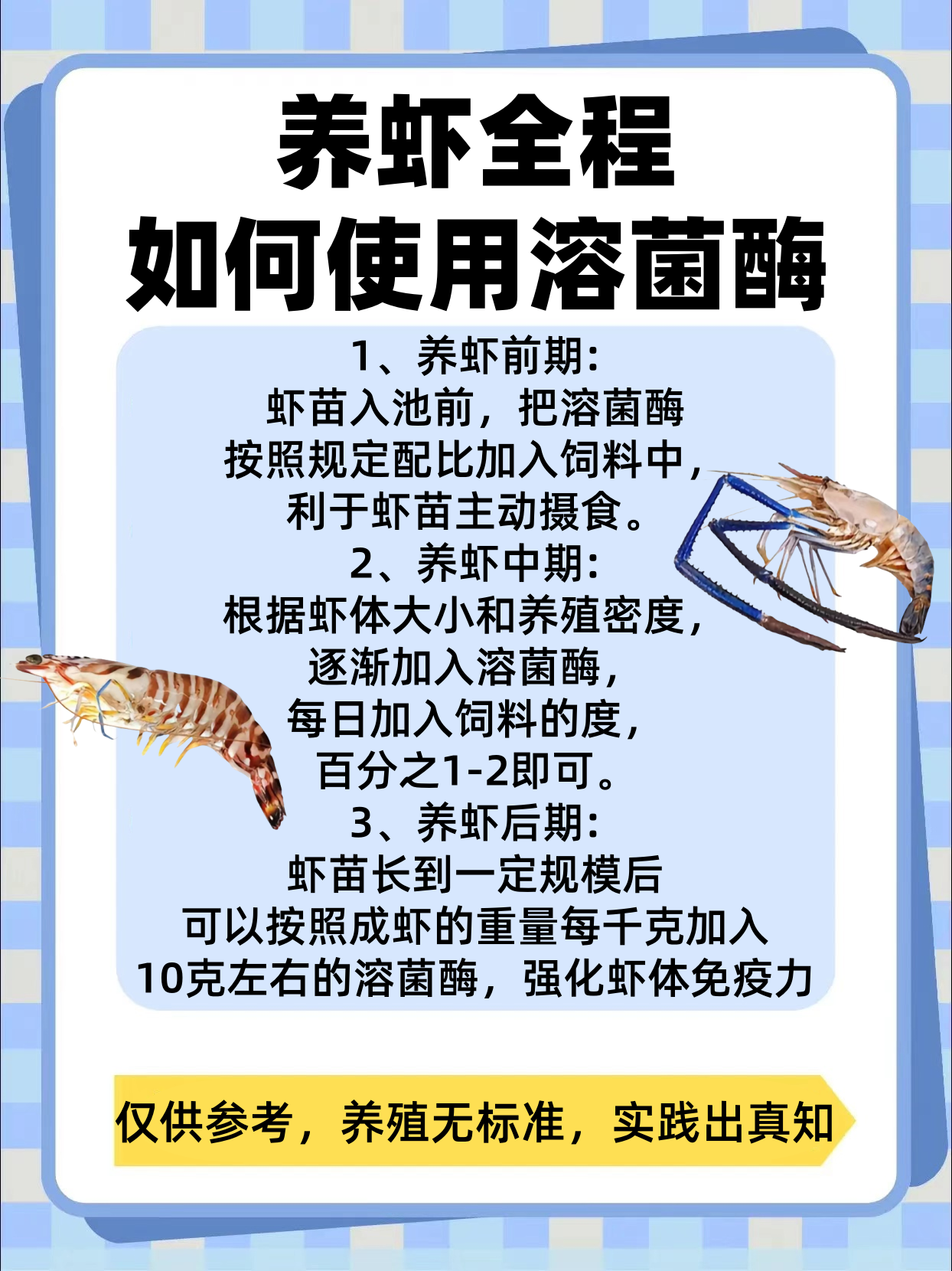 虾怎么养殖技术(如何养虾技术大全)